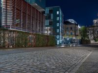 a street with buildings and lights on the side in the dark night time with a cobblestone road with cobblestones in front