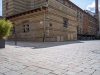 a corner with two trees on the side and a man standing on the sidewalk in front of it