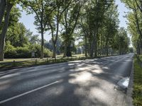 Berlin Nature Park: Lush Green Landscape