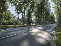 Berlin Nature Park: Lush Green Landscape