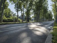 Berlin Nature Park: Lush Green Landscape