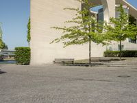 a paved walkway next to a building and a large tree in front of it, with a stone slab sitting in the middle