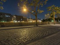 a brick road at night in the city with trees, street lights and buildings in the background