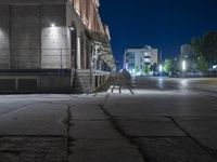 a person holding an umbrella standing on the sidewalk near stairs at night in an empty street