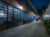 some dark blue windows in an industrial building with no one on the street to the right