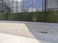 a fire hydrant that is on the side of a road by some bushes and a man in black standing