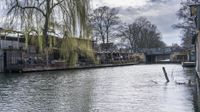 an exterior shot of people sitting at tables on the pier along a river, and with ducks flying around