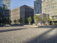 Berlin Plaza: Glass Walls and Surface Reflections