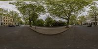 the reflection of trees on a road in a panoramic view mirror as it shows