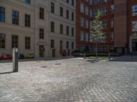 a green shrub near a gray building and a brick walkway with a bicycle rack in it