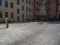 a green shrub near a gray building and a brick walkway with a bicycle rack in it