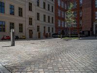 a green shrub near a gray building and a brick walkway with a bicycle rack in it