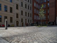 a green shrub near a gray building and a brick walkway with a bicycle rack in it