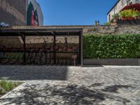 a green shrub near a gray building and a brick walkway with a bicycle rack in it