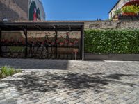 a green shrub near a gray building and a brick walkway with a bicycle rack in it