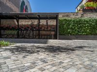 a green shrub near a gray building and a brick walkway with a bicycle rack in it