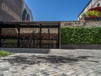 a green shrub near a gray building and a brick walkway with a bicycle rack in it