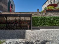 a green shrub near a gray building and a brick walkway with a bicycle rack in it