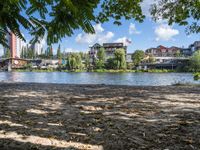 a dog is on the shore by the water with trees and buildings in the background