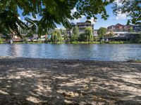 a dog is on the shore by the water with trees and buildings in the background