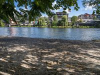 a dog is on the shore by the water with trees and buildings in the background