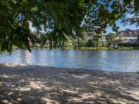 a dog is on the shore by the water with trees and buildings in the background