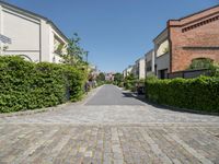 a paved street with homes and hedges growing on either side of it and on the other side