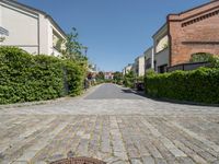 a paved street with homes and hedges growing on either side of it and on the other side