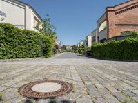 a paved street with homes and hedges growing on either side of it and on the other side