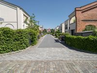 a paved street with homes and hedges growing on either side of it and on the other side