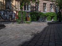 Berlin Residential Area: Cobblestone Road and Classic Architecture