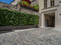 a green shrub near a gray building and a brick walkway with a bicycle rack in it