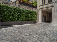 a green shrub near a gray building and a brick walkway with a bicycle rack in it