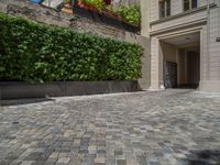 a green shrub near a gray building and a brick walkway with a bicycle rack in it