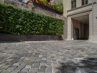 a green shrub near a gray building and a brick walkway with a bicycle rack in it