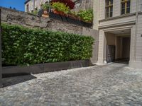 a green shrub near a gray building and a brick walkway with a bicycle rack in it