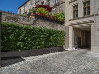 a green shrub near a gray building and a brick walkway with a bicycle rack in it