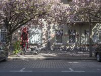 Berlin Residential Area on a Spring Day