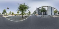 a road and a building surrounded by trees in the afternoon with no leaves in the tree