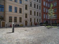 a green shrub near a gray building and a brick walkway with a bicycle rack in it