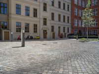 a green shrub near a gray building and a brick walkway with a bicycle rack in it