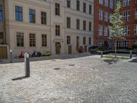 a green shrub near a gray building and a brick walkway with a bicycle rack in it