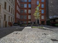 a green shrub near a gray building and a brick walkway with a bicycle rack in it