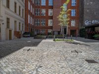 a green shrub near a gray building and a brick walkway with a bicycle rack in it