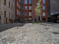 a green shrub near a gray building and a brick walkway with a bicycle rack in it