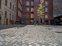 a green shrub near a gray building and a brick walkway with a bicycle rack in it