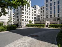 a wide paved street surrounded by tall white building facades surrounded by greenery and bushes