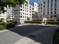 a wide paved street surrounded by tall white building facades surrounded by greenery and bushes