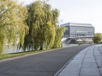 a couple walking down the path by the river with weeping trees near by and office buildings