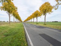 Berlin Road Asphalt Nature Landscape